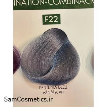 رنگ مو المانی نچرال F22