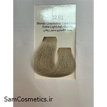 رنگ موی پرنسلی بلوند خاکستری بسیار روشن 12.01